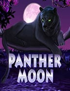 เทคนิคเด็ดสอนวิธี ถอนเงิน จากเว็บพนันออนไลน์ได้ง่ายๆ